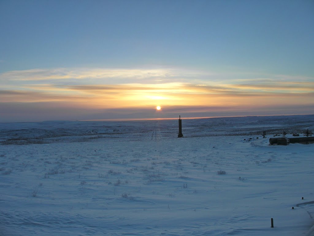 Vega MS calibration mast among snow in tundra